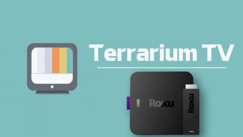 the best media player for terrarium tv