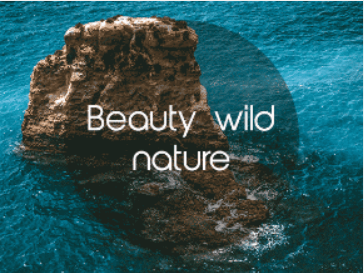 Beauty Wild Nature