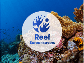 Reef Screensavers