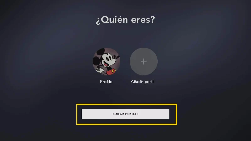select the profile that you want to change the language on Disney
