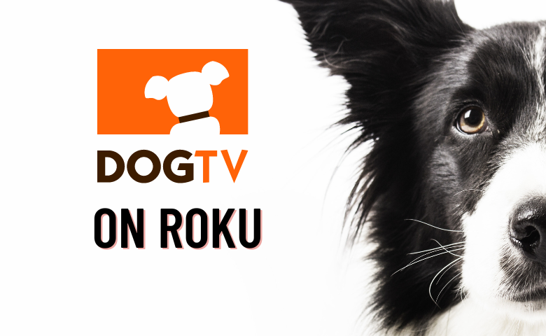 How To Stream DOGTV Videos On Roku [2 Easy Ways]