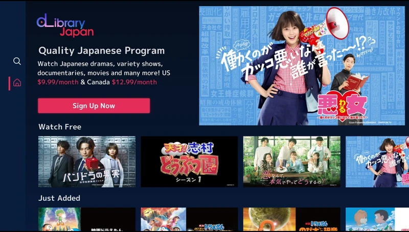 Japanese Channels on Roku