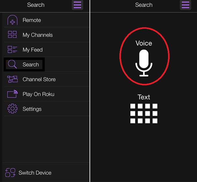 Voice search on Roku mobile app