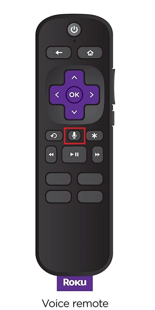 Search Channels On Roku using voice command