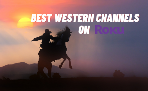 List Of Best Western Channels On Roku [ 8 Best Channels]