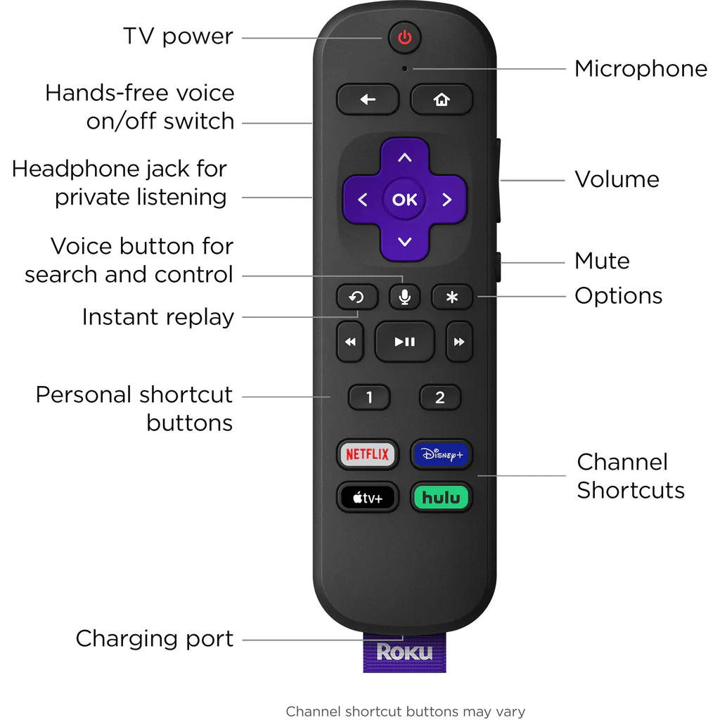 voice remote pro