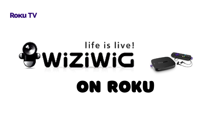 How to Watch Wiziwig on Roku [3 Methods]