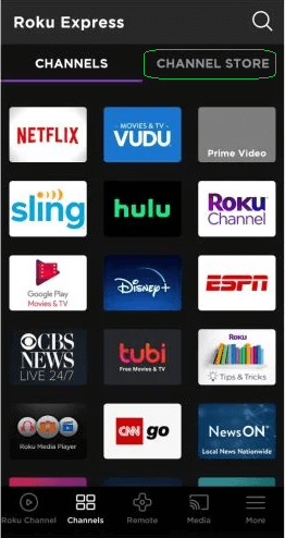 CHANNEL STORE on the Roku mobile app.