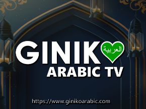 Giniko Arabic TV - Arab Countries Live TV Channels
