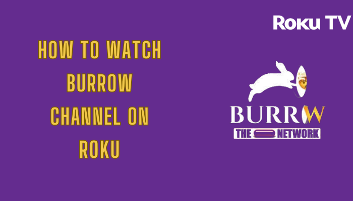How to Watch Burrow Channel on Roku